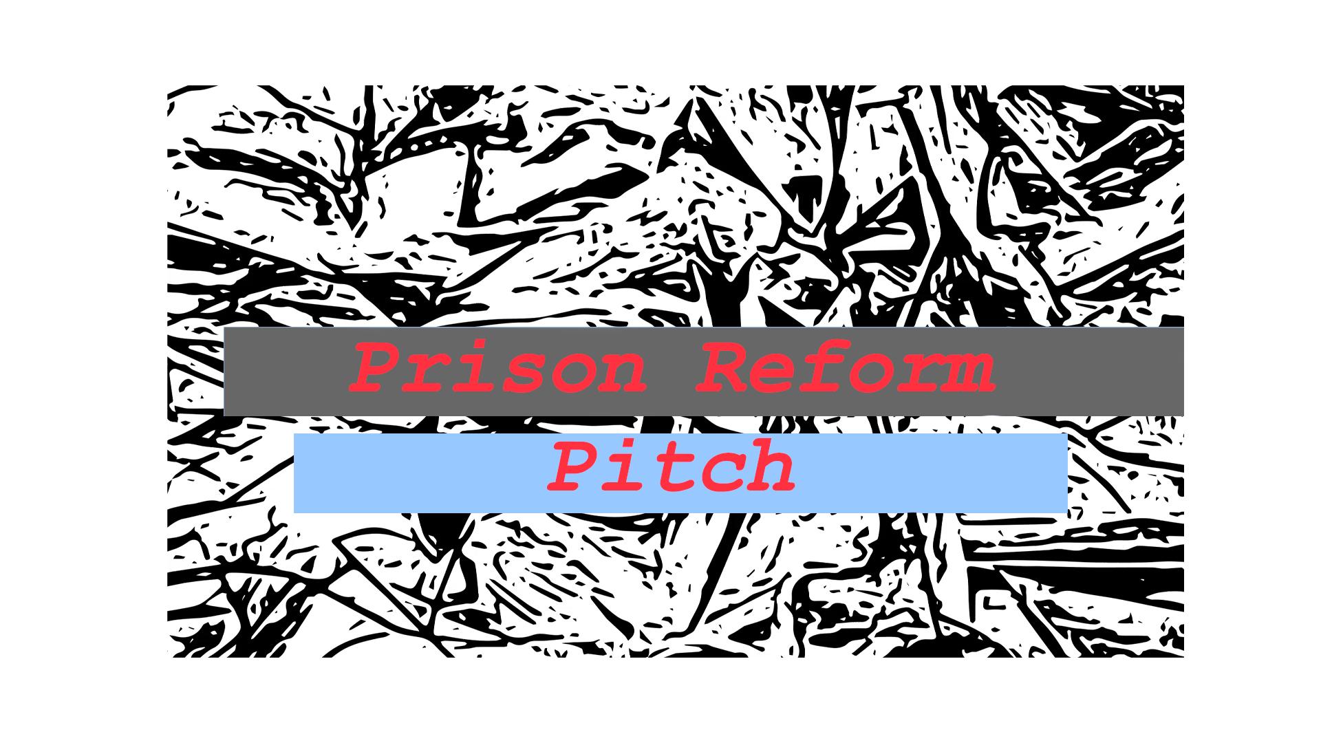 Pitch to the Reform Alliance
